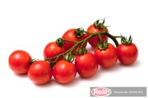 Koktailová paradajka kg